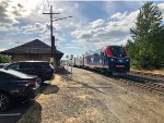 Coast Starlight 11 in the station